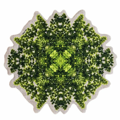 Yetoleyt Bosque Placemats (Set of 2)