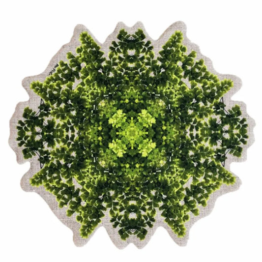 Yetoleyt Bosque Placemats (Set of 2)